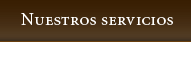 Nuestros servicios